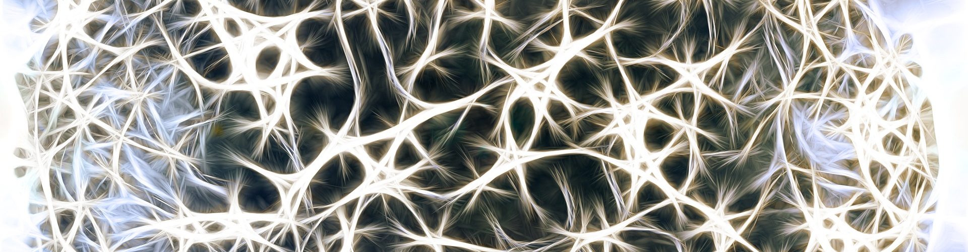 BrainWorkCoach BrainNeurons